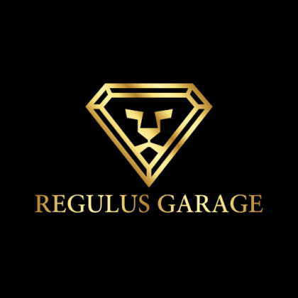 Oto yıkama işletme takip programı Kadıköy İstanbul Regulus Garage Oto Yıkama ve Uygulama Merkezi